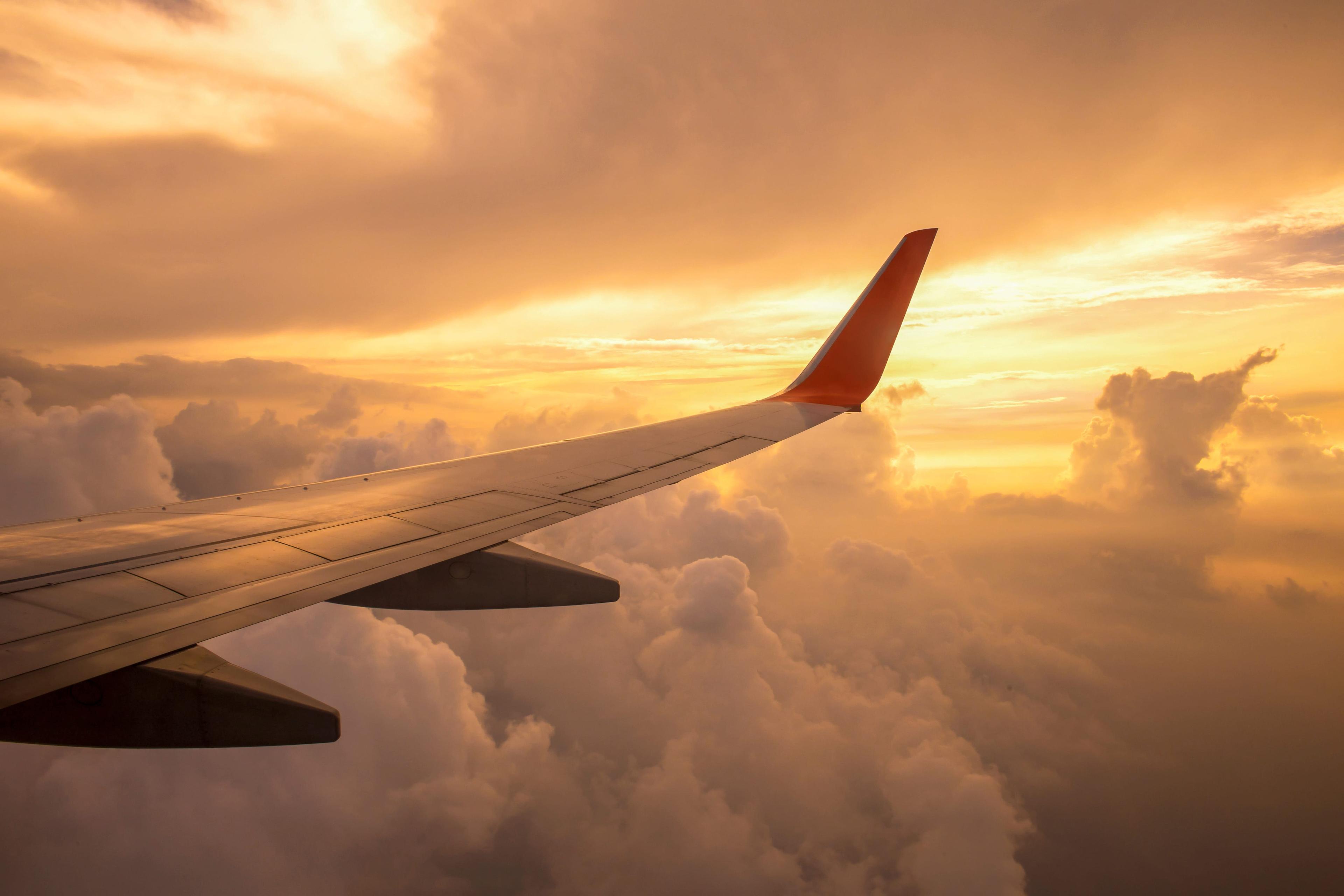 Travel Services